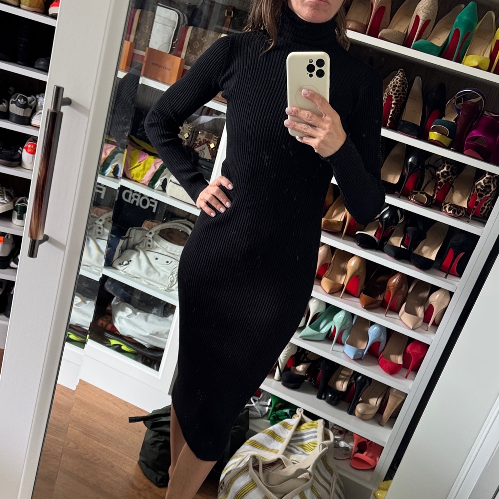 Zara Turtleneck Knit Dress